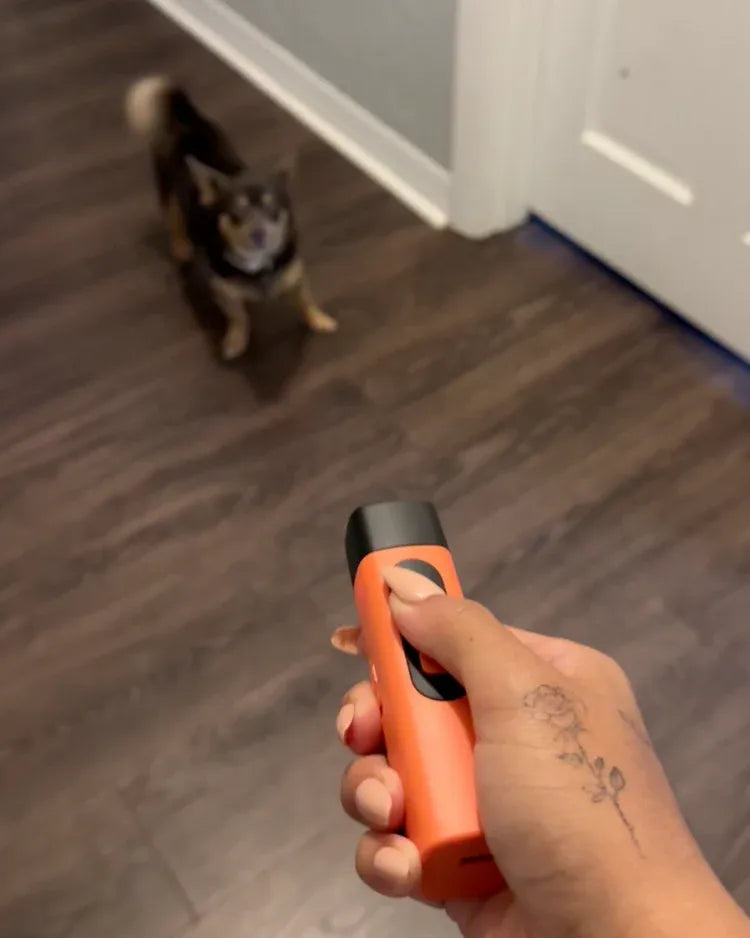 Anti-Barking Training Device
