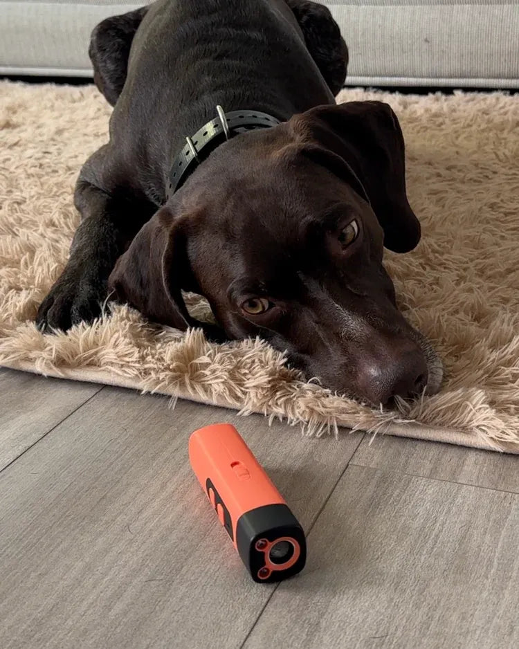 Anti-Barking Training Device