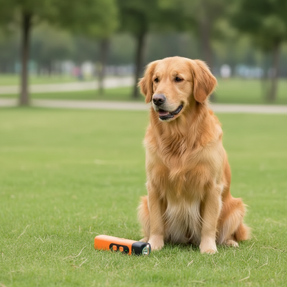Anti-Barking Training Device